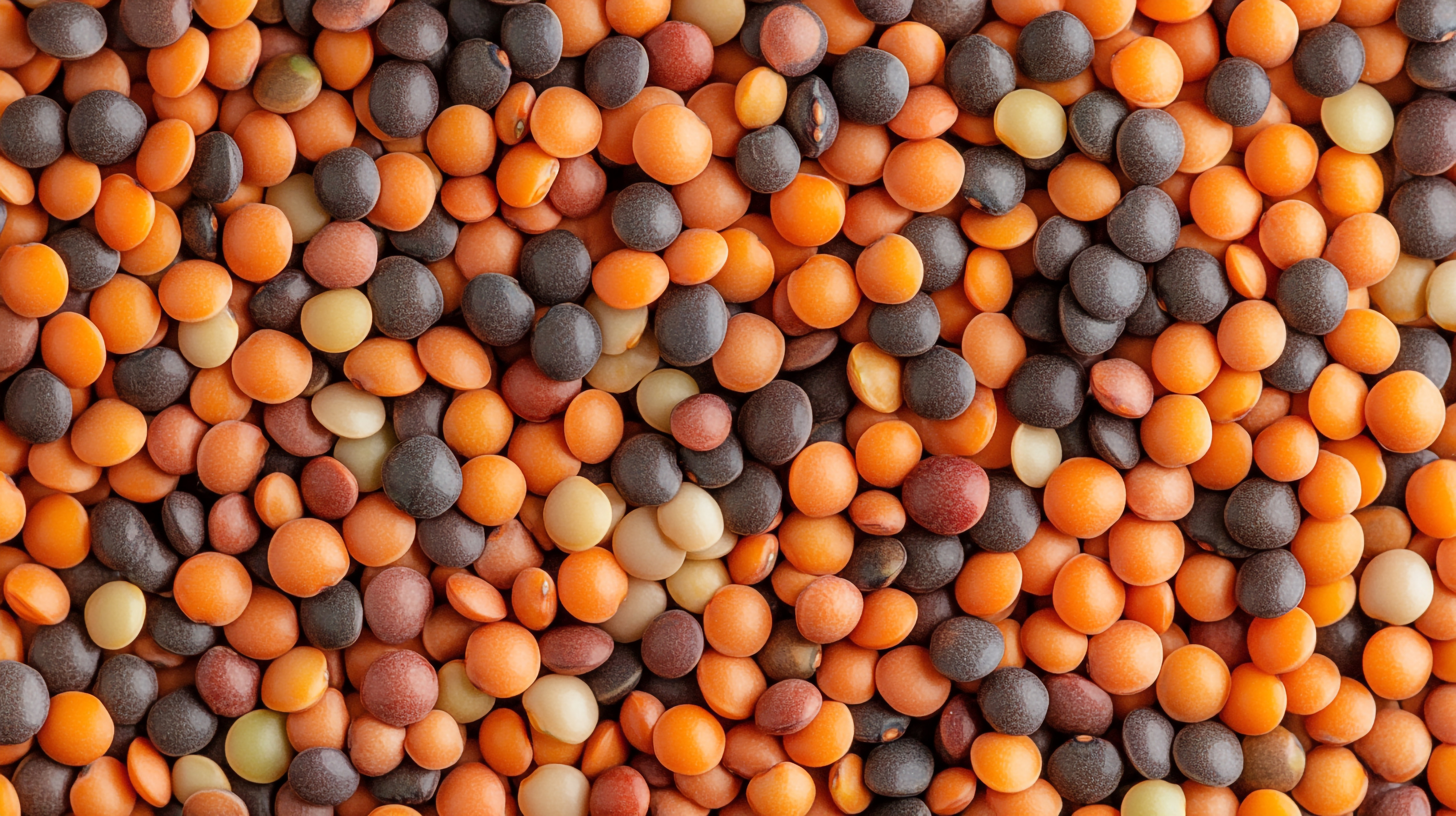 How to Cook Lentils Properly: Types, Timing and Techniques That Work